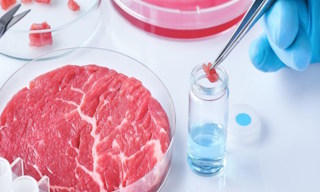 Лабораторный анализ пищевых продуктов по СанПиН в Пыти-Яхах в октябре