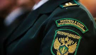 Подготовка к проверке Росприроднадзора в Пыти-Яхах от ПромМир-Пть, стоимость услуги от 20346 руб.